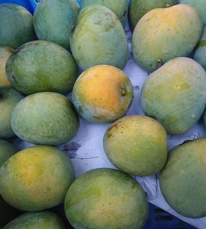 হিমসাগর (খিরসাপাত) আম সকল খরচসহ প্রতিকেজি